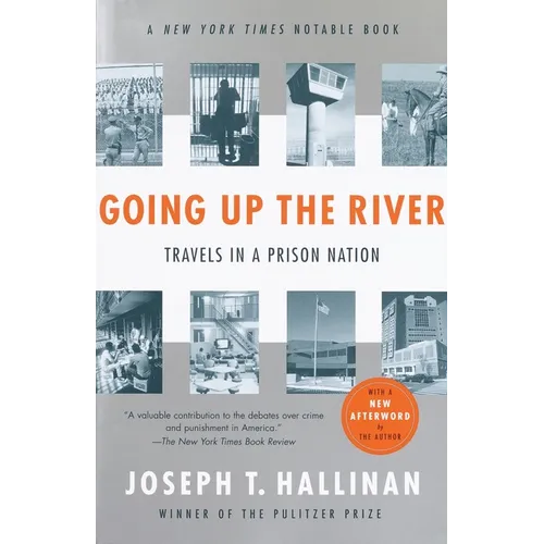 Going Up the River: Travels in a Prison Nation
