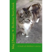Bedtime Storybook: A book of children's stories