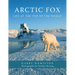 Arctic Fox: Life at the Top of the World