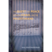 The Quest for Peace between Israel and the Palestinians