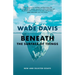 Beneath the Surface of Things: New and Selected Essays