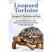 Leopard Tortoise. Leopard Tortoise as Pets. Leopard Tortoise Care, Behavior, Diet, Interaction, Costs and Health.