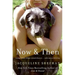 Now & Then