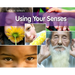 Using Your Senses