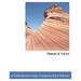 Manual of Forms
