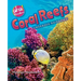 Coral Reefs: Undersea Rainbows