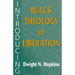 Introducing Black Theology of Liberation