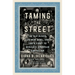 Taming the Street: The Old Guard, the New Deal, and Fdr's Fight to Regulate American Capitalism