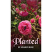 Planted