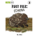 Fact File: Echidna - Our Yarning