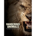 Dangerous Animals: The World's Most Deadly Creatures