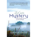 Led Into Mystery: Faith Seeking Answers in Life and Death