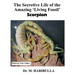 The Secretive Life of the Amazing 'Living Fossil' Scorpion