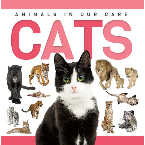 Cats