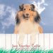 Just Another Collie