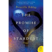 The Promise of Stardust