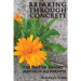 Breaking Through Concrete