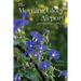 The Morning Glory Airport and Other Flights of Fancy