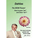 Dahlias The "WOW" Flower! How to grow "em" and show "em"!