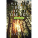 Where Trees Touch the Sky: A Redwood National Park Novel