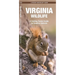 Virginia Wildlife