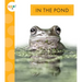 In the Pond