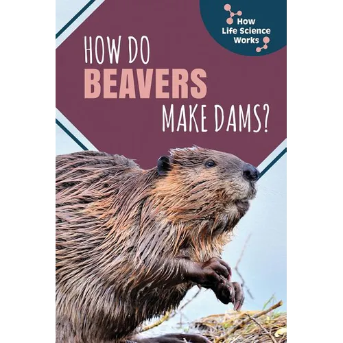 How Do Beavers Make Dams?