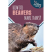 How Do Beavers Make Dams?