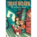 The Mysterious Visitor: Trixie Belden