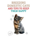 Breeding Domestic Cats and Tips to Keep Them Happy