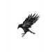 Murder of Crows