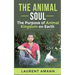 The animal soul: The Purpose of Animal Kingdom on Earth