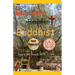 The Adventures of a Southern (Baptist) Buddhist