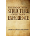 The Immaterial Structure of Human Experience