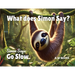 What Does Simon Say?: Simon Says: Go Slow