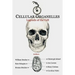 Cellular Organelles: Legends of the Cell