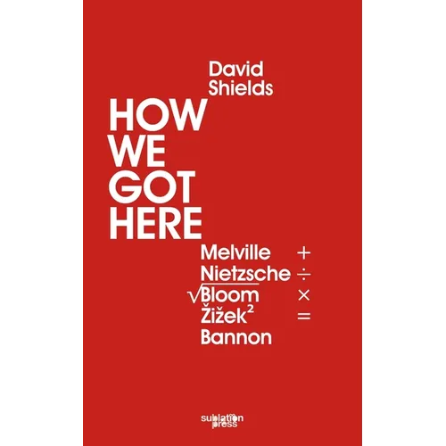 How We Got Here: Melville Plus Nietzsche Divided by the Square Root of (Allan) Bloom Times Zizek (Squared) Equals Bannon