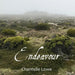 Endeavour: Poetry Anthology - Volume Three