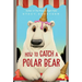 How to Catch a Polar Bear