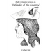 Auke-wingeke-tawso, or, 'Defender of His Country': The Circumstances & Services of Charles Michel de Langlade (1729 - 1800)