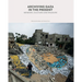 Archiving Gaza in the Present: Memory, Culture and Erasure