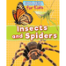 Insects and Spiders