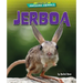 Jerboa