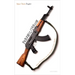 Paramilitarism: Mass Violence in the Shadow of the State