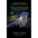 Nightingale: Say Goodbye to Yesterday