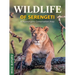 Wildlife of Serengeti & Ngorongoro Conservation Area