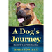 A Dog's Journey: Ruben's Upbringing