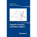 Projective Geometry and Modern Algebra