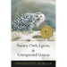 Snowy Owls, Egrets & Unexpected Graces