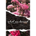What We Buried